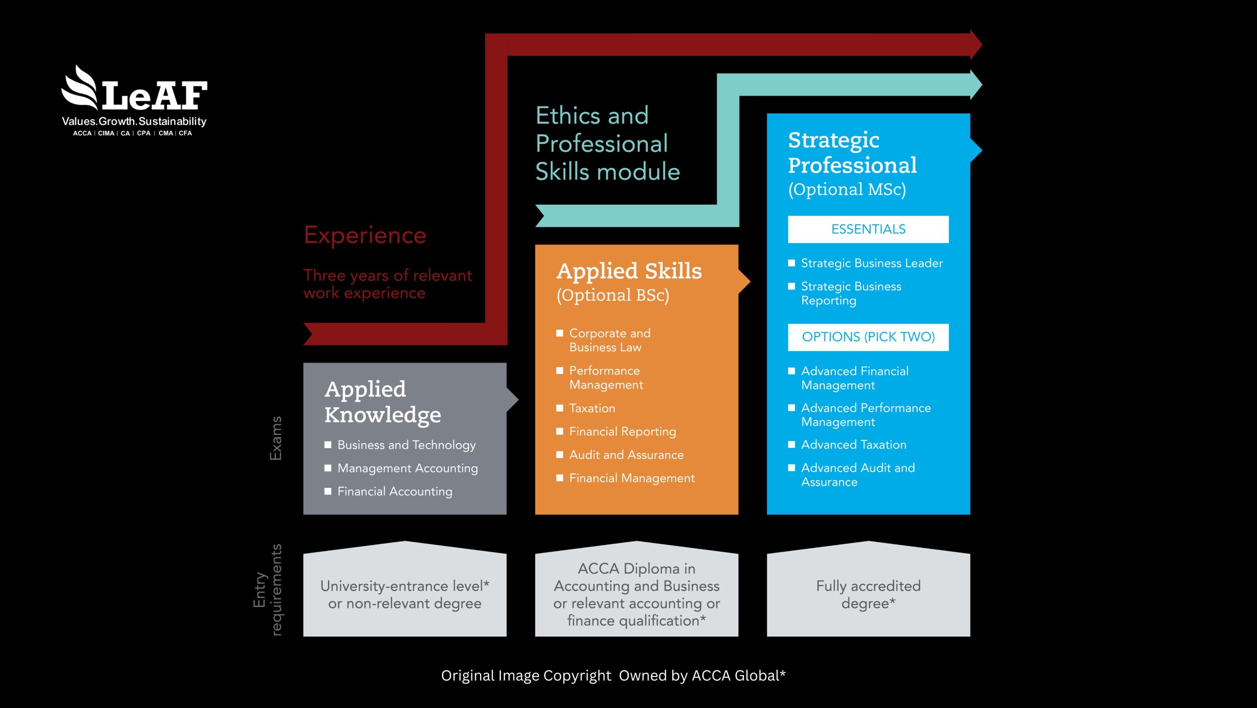 ACCA Paper Structure